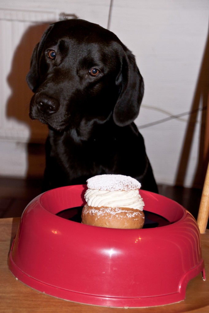 369_Frestelse_44-365