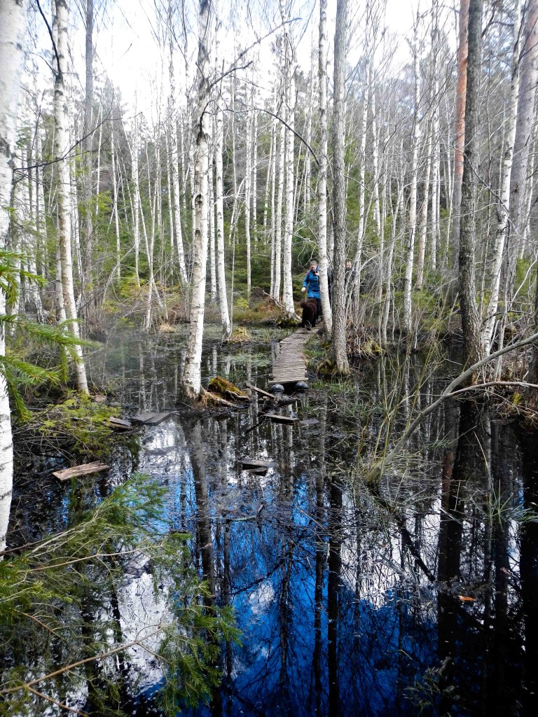 Spången_slutar