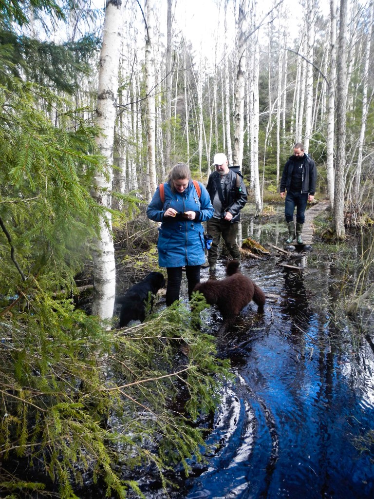 Spången_slutar_folk_hundar-2