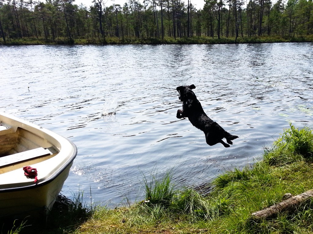 Lakrits hoppade också utan tövan, om än inte lika högt som Cheysie.