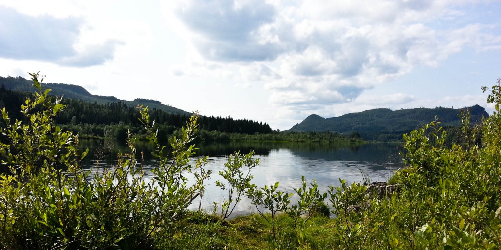 Utsikt över Indalsälven.