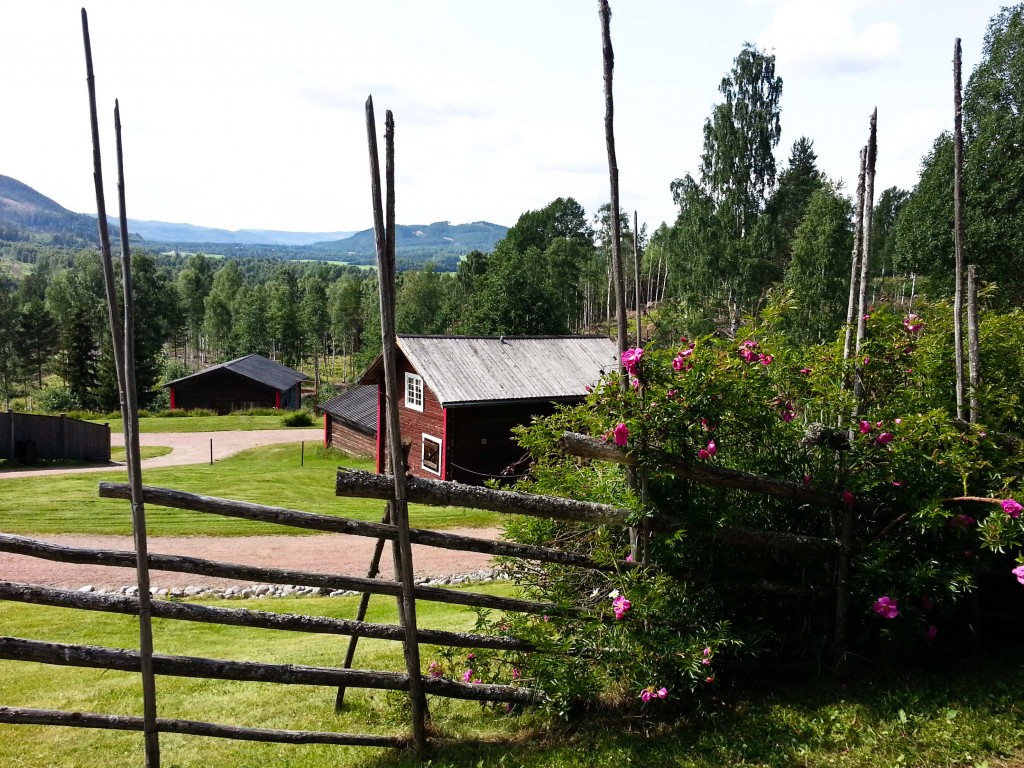 281_Sommar_164-365