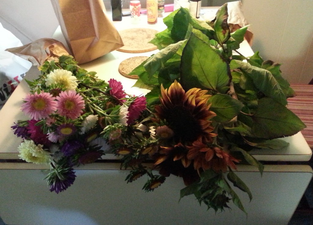 121-Höstblommor_202-365