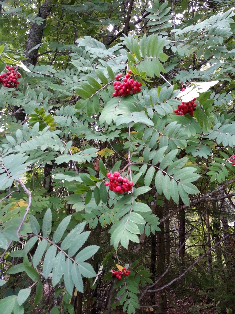 266-September_197-365