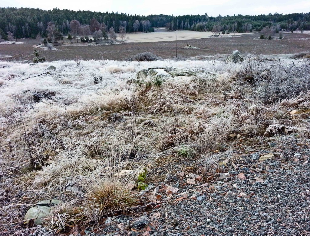 214_November_279-365