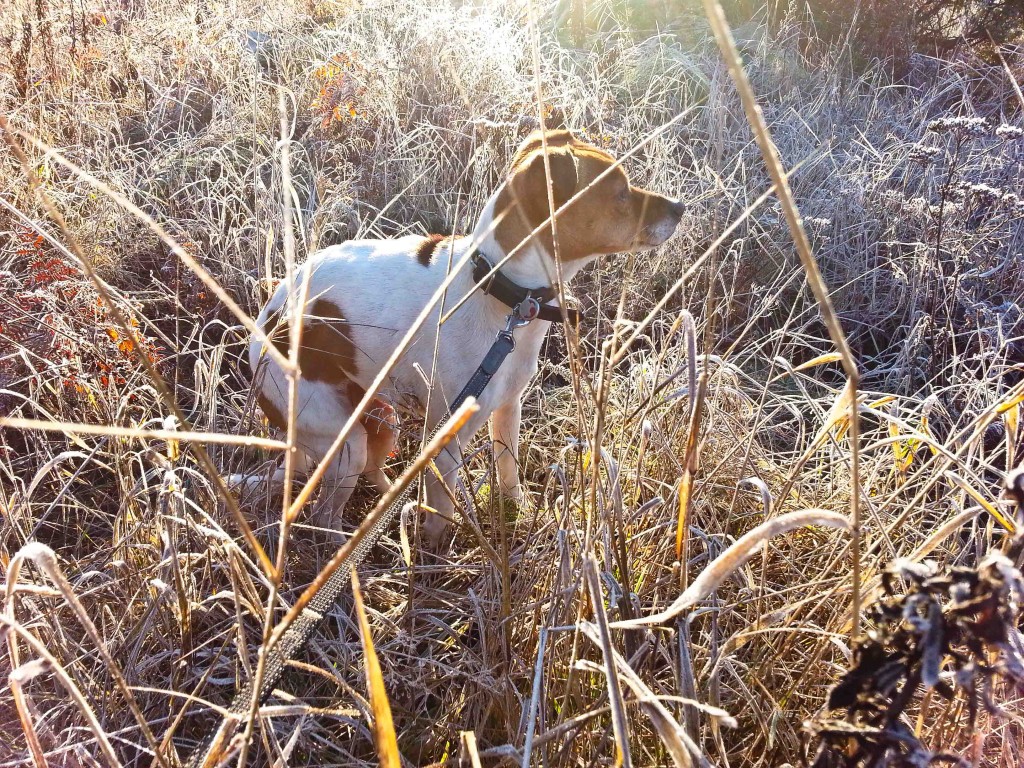 220_Observant_283-365