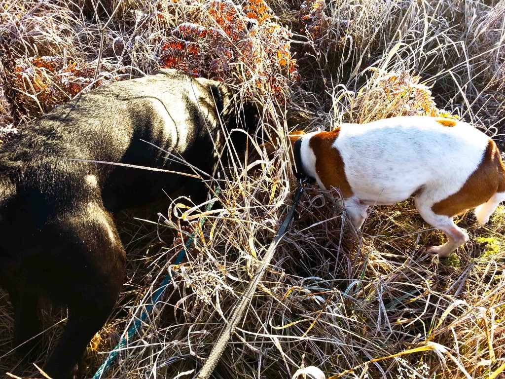 348_Vänskap_285-365