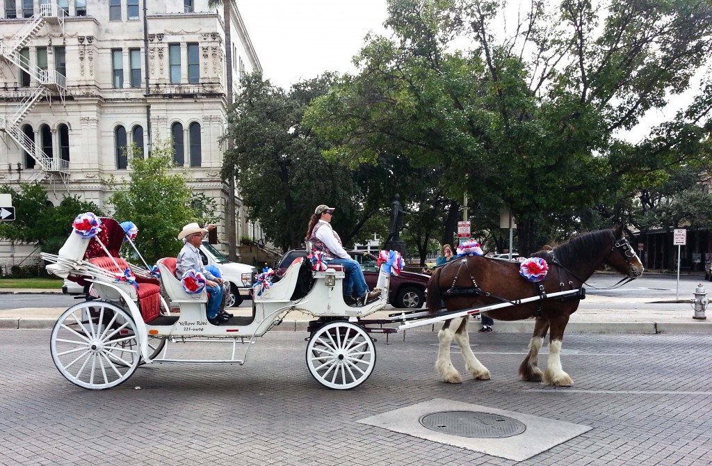 377_Häst_och_vagn_245-365