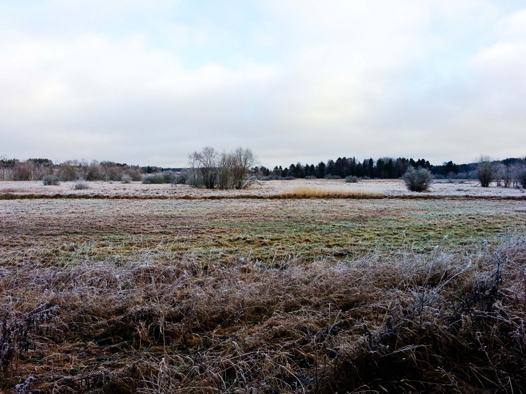 86_Förmiddag_280-365