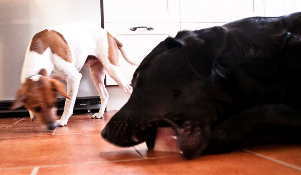 16_Bedragare_290-365