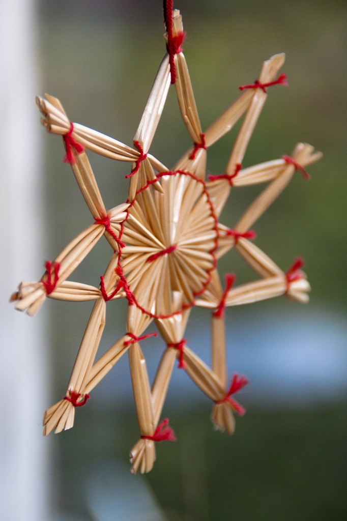 195_Minimalistiskt_288-365