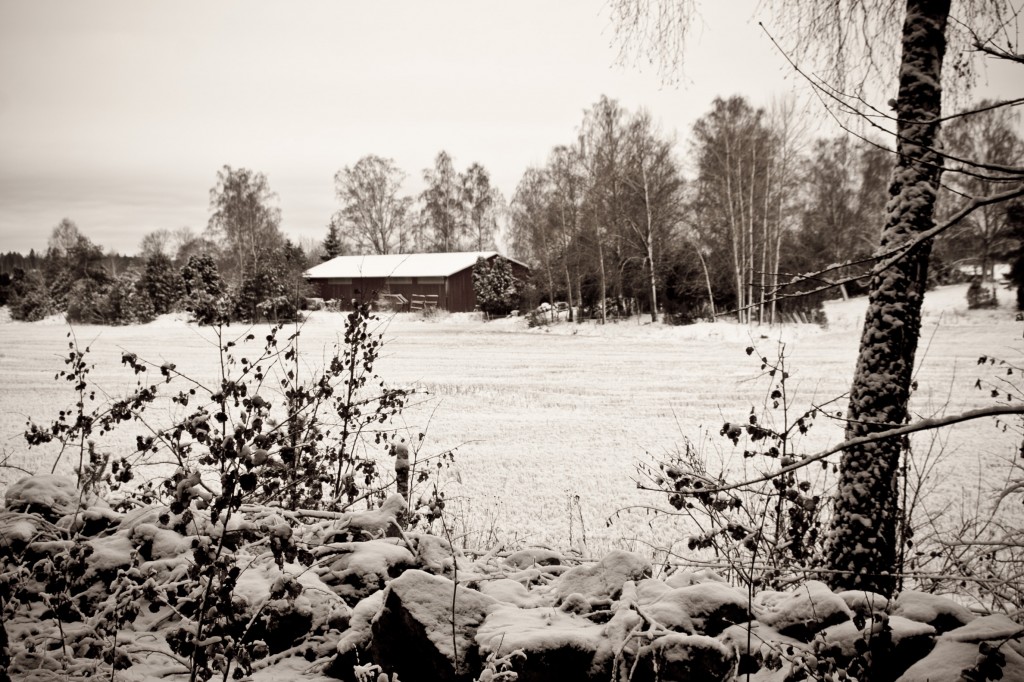 313_Tiden_321-365