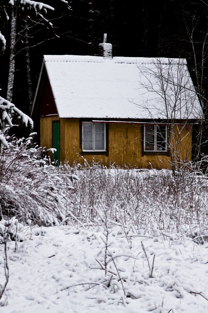 355_Åldrande_314-365