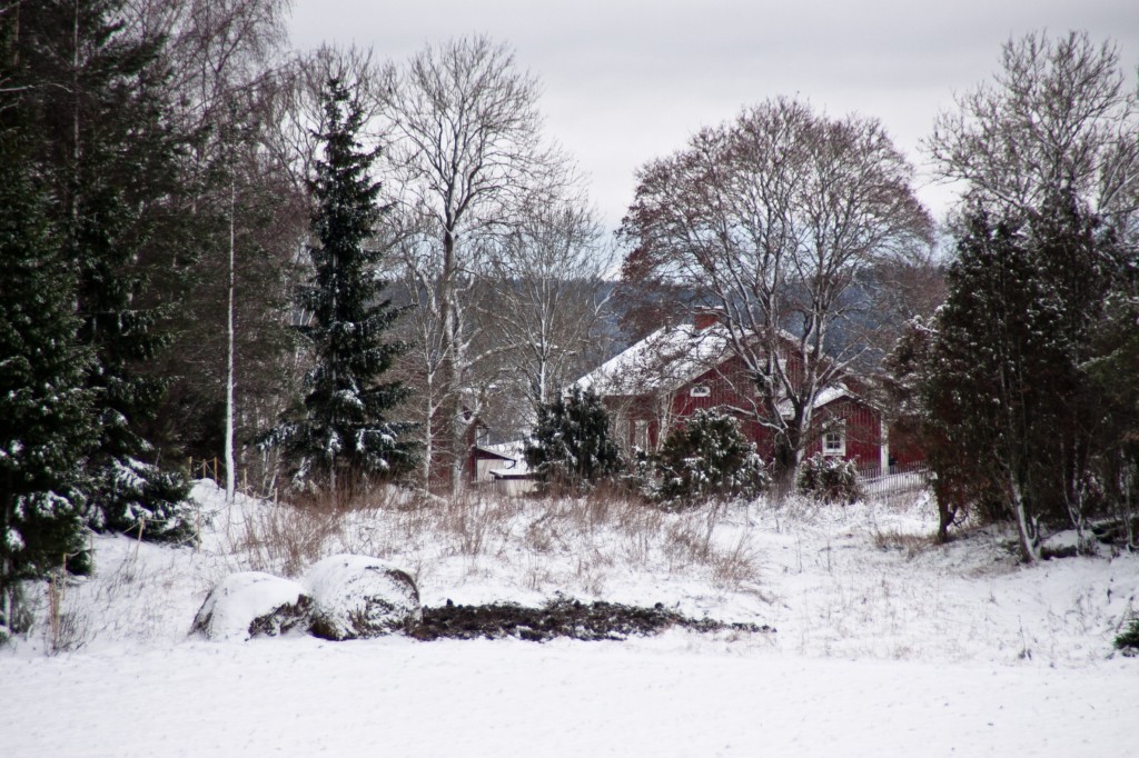 380_Landsbygd_322-365