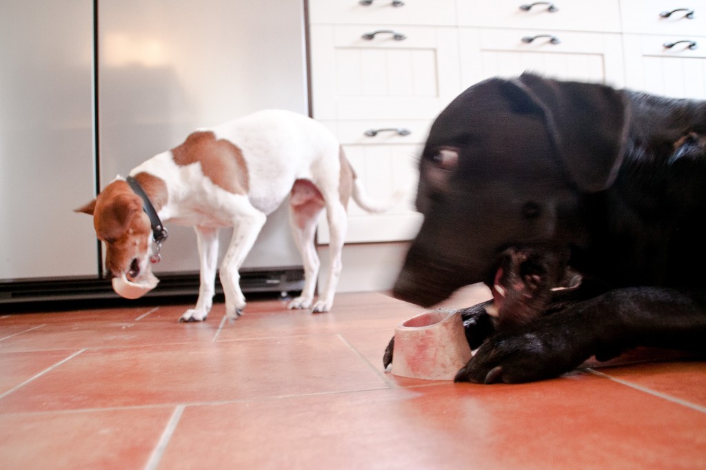 92_Gemenskap_291-365