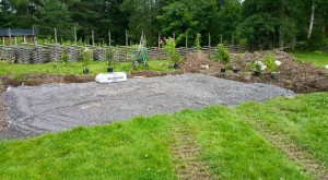 plantering2