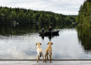 sansa_chilla_kräftbåt-190715